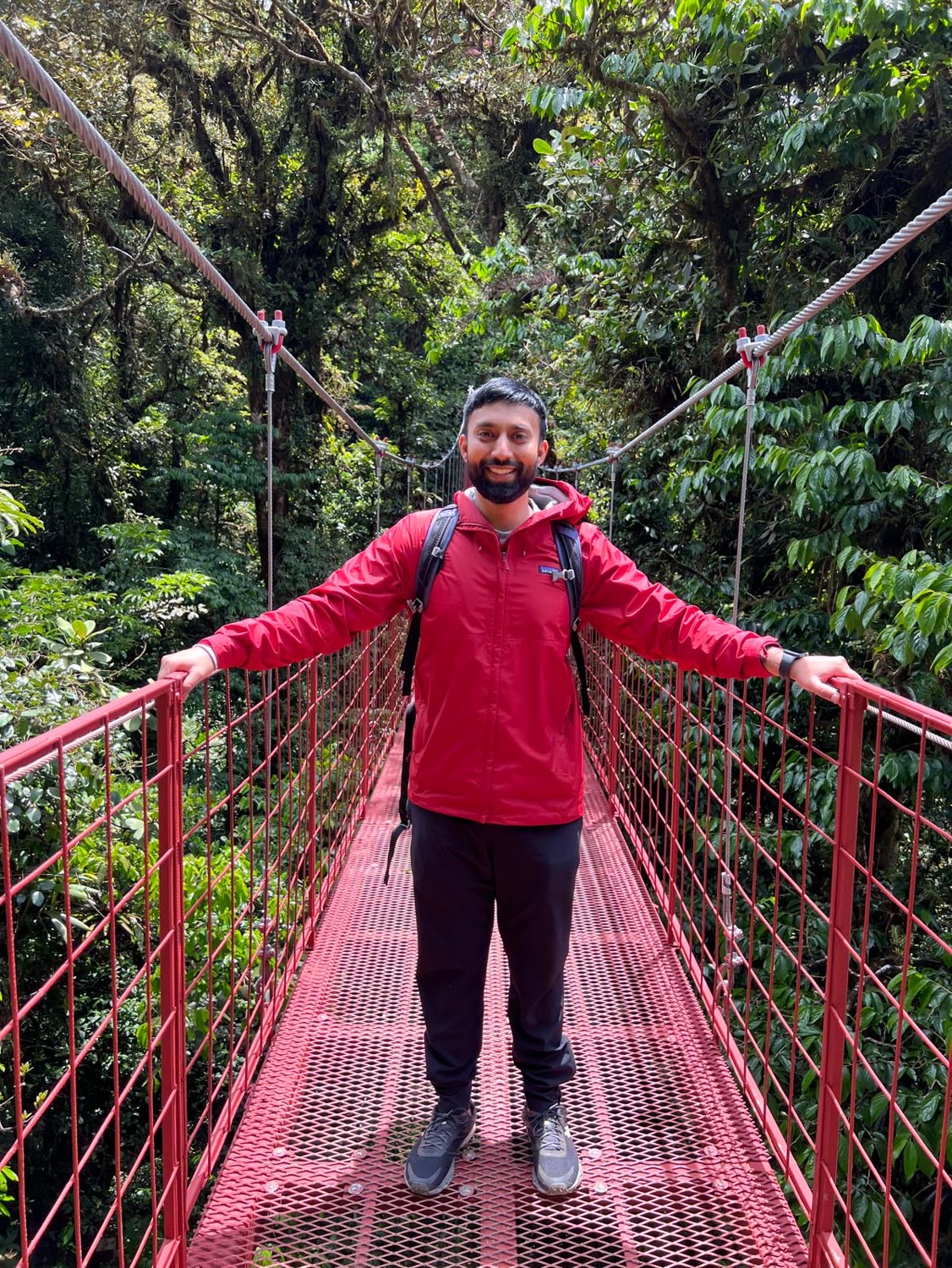 Rainforest crossing